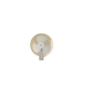Wall Fan