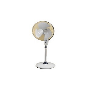 Pedestal Fan