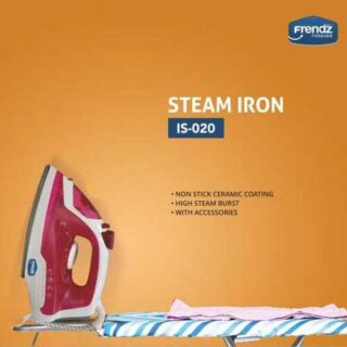 Electric Steam Iron